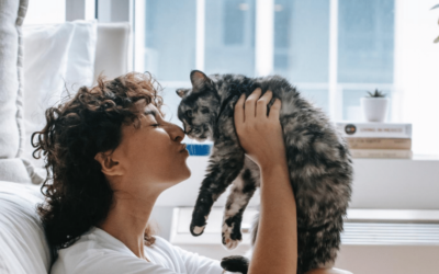 Cats Paired With Owners Through Attachment Styles